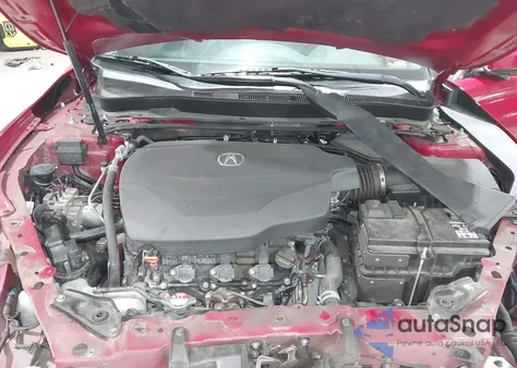 2019 Acura Tlx Standard z USA, uszkodzony, nr VIN 19UUB2F31KA010401